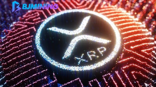  Earn 3000 XRP a day: Coin holders earn a stable income on BJMINING 